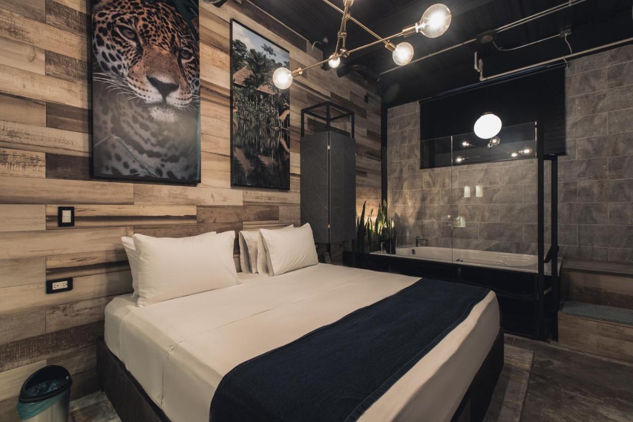 Hotel Lleras Park Concept 메딜린 외부 사진